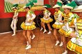 P_Party2011   036
